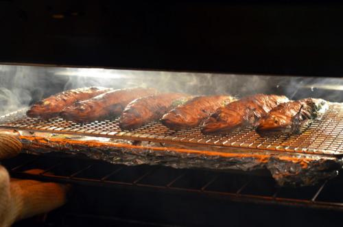 A tray of herb-stuffed sardines in the oven broiling, with smoke coming off the top of them.