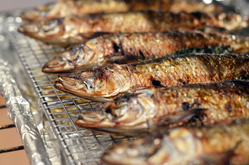 A closeup of the broiled herb-stuffed sardines.