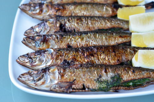 A row of broiled herb-stuffed sardines on a plate with lemon wedges.