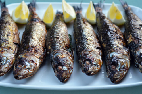 A plate of broiled herb-stuffed sardines on a plate with lemon wedges.