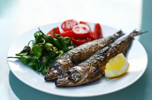 A plate with two broil herb-stuffed sardines with a side of blistered shisito peppers, sliced tomatoes, and a lemon wedge.