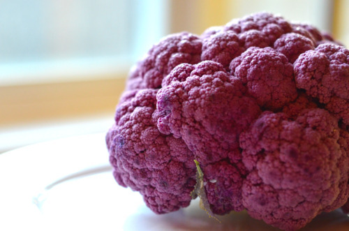 A head of purple cauliflower.