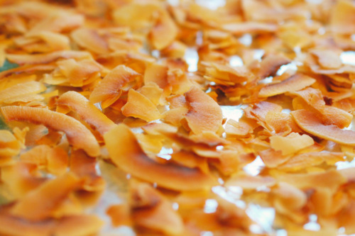 Toasted coconut flakes on a baking sheet.