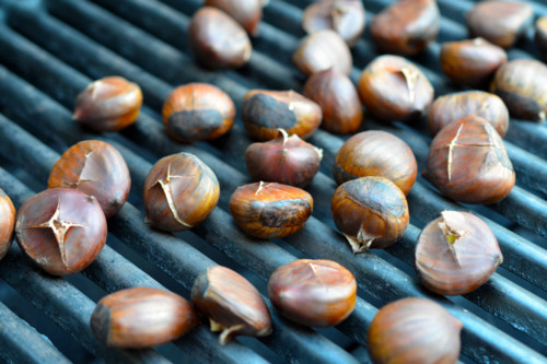 Roasting chestnuts on a gas grill.