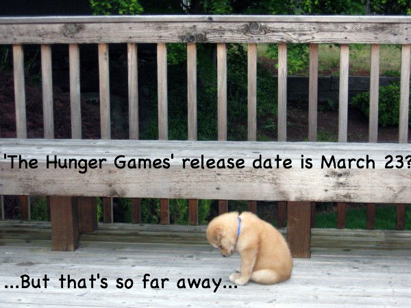 The Hunger Games release date…