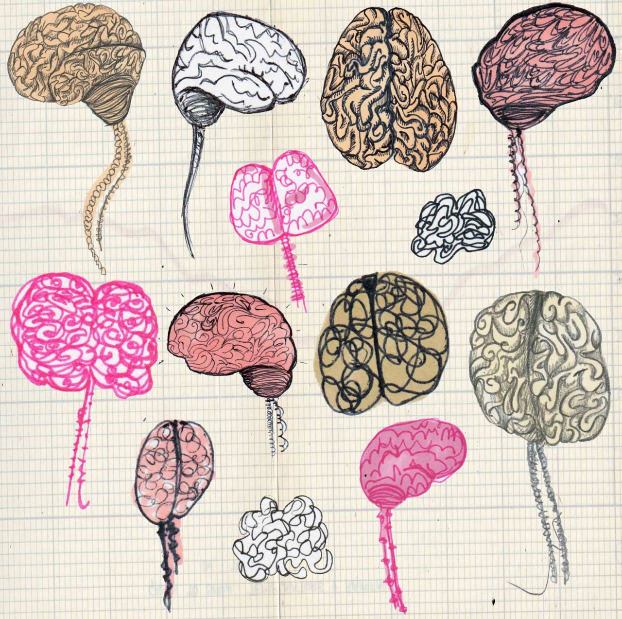 Brain drawings from my sketchbook, for more please visit me here :)