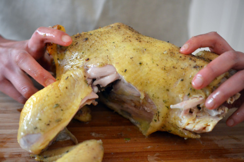 Breaking up Slow Cooker Roast Chicken with hands.