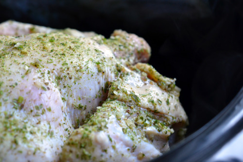A seasoned raw whole chicken is breast-side down in a slow cooker.