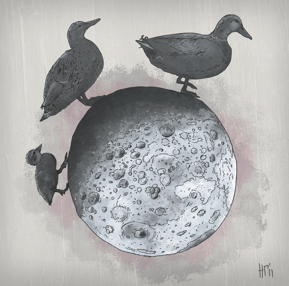 ‘the duck side of the moon’ by stas g. tumblr/behance/deviantart