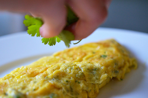 Adding cilantro to the Thai rolled omelet.