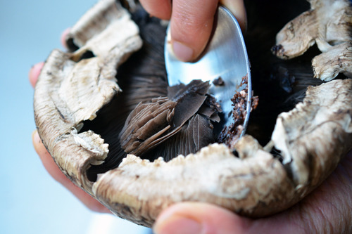 A spoon is used to scrape the gills out of a portobello mushroom.