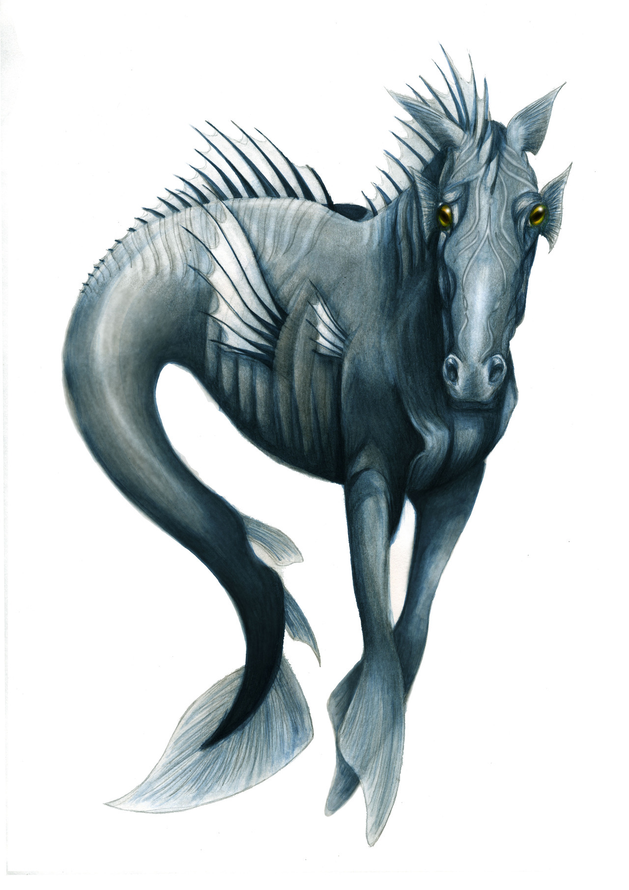 One of my final designs for my final major project of a Kelpie. Take a look at my blog to see more of my work (not all work posted is my own) http://nevarbeencuriouser.tumblr.com/