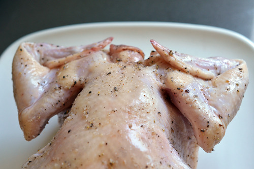 A seasoned raw chicken with the wing tips folded behind the back.