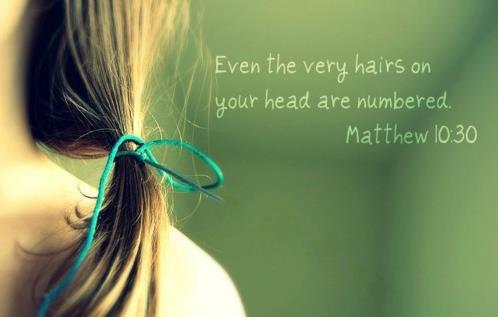 Image result for even the hairs on your head are numbered