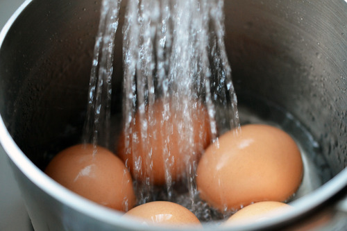 Water filling a saucepan with eggs inside to make perfectly hard-boiled eggs.
