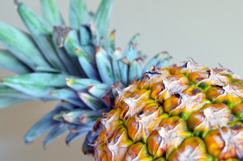 A closeup of a pineapple.