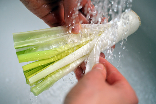 Someone washing out the leaves of a leek under a running faucet.