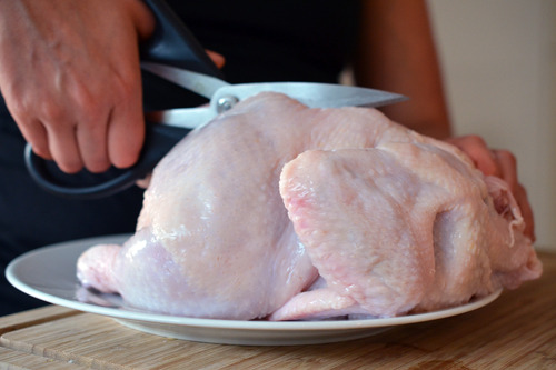 Someone cutting out the backbone of a whole chicken with kitchen shears.