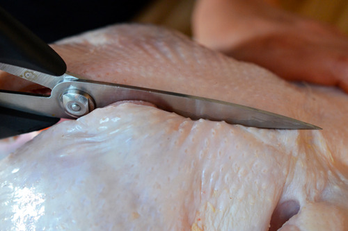Someone cutting out the backbone of a whole chicken with kitchen shears.