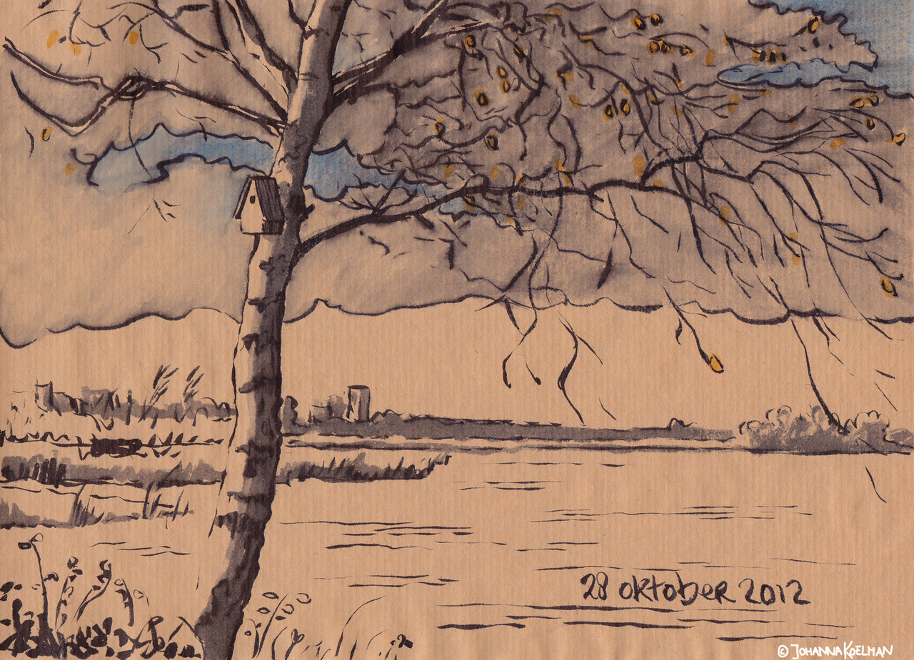 Every day I make a drawing of ‘het Zwet’ the water behind my house. A whole year, one drawing every day.