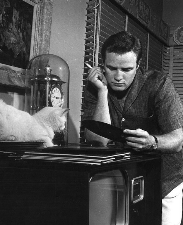 Marlon Brando loved cats.
Also, I love cats.
Maybe Marlon Brando is in love with me…(?)