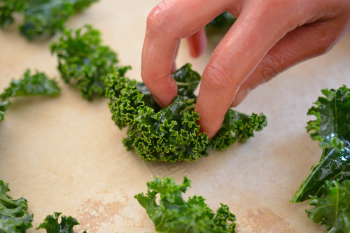 Make sure the leaves are all flat and not folded over or your baked kale chips won't crisp properly.